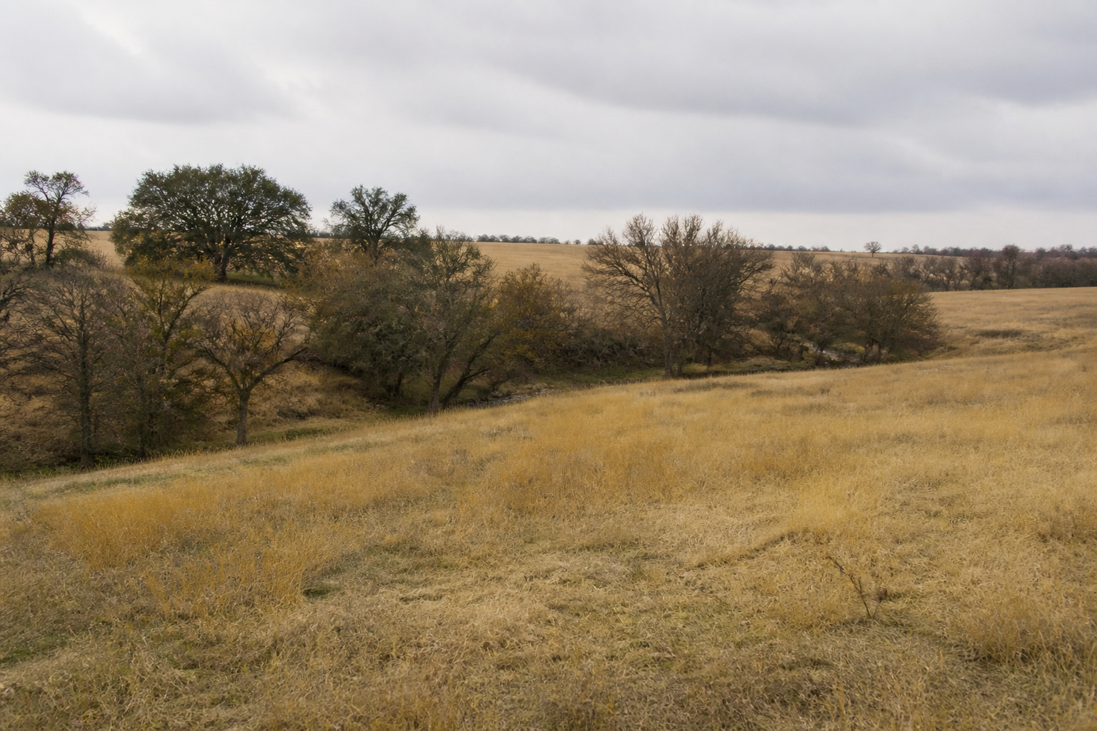 Vacant and undeveloped land