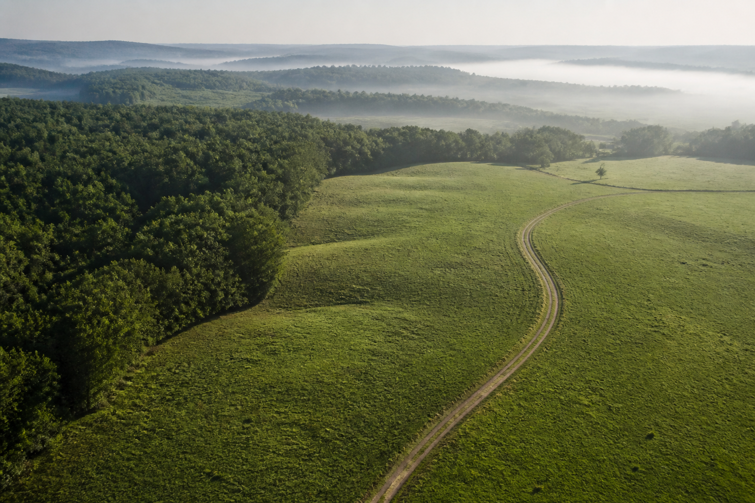 Undeveloped tract